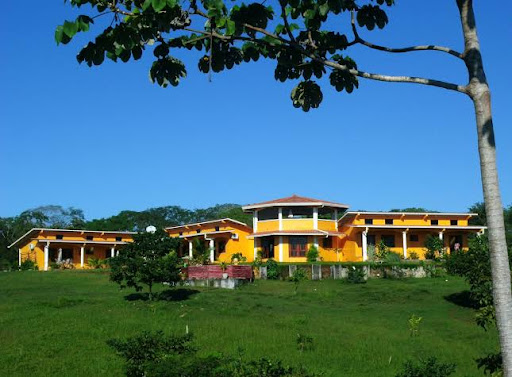 Finca Buena Vista