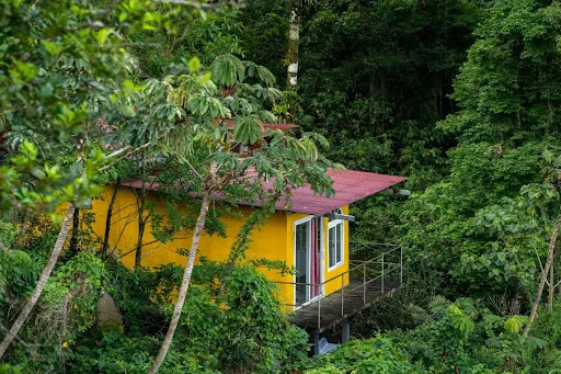 Lost and Found Hostel