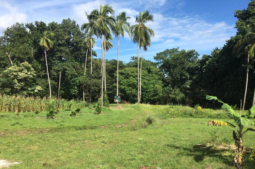Séjour ZEN Panama