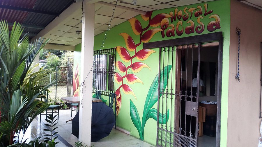 Opinión de PaCasa Hostel 1 Opinión de PaCasa Hostel: Experiencia real y cómoda para viajeros