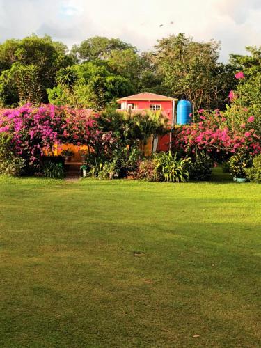 Opinión: Finca Agro Turística Villa Verde – Experiencia Rural en Español