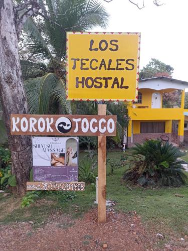 Opinión de Hostal Los Tecales 1 Opinión Hostal Los Tecales: Experiencia y Reseña Real 2024