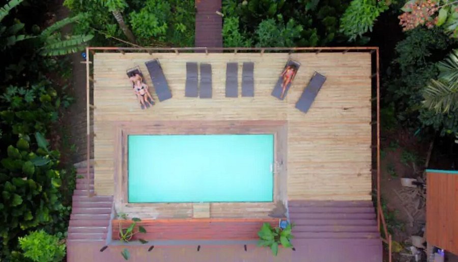 Opinión La Selva en Nomad Tree Lodge: Experiencia en la Selva