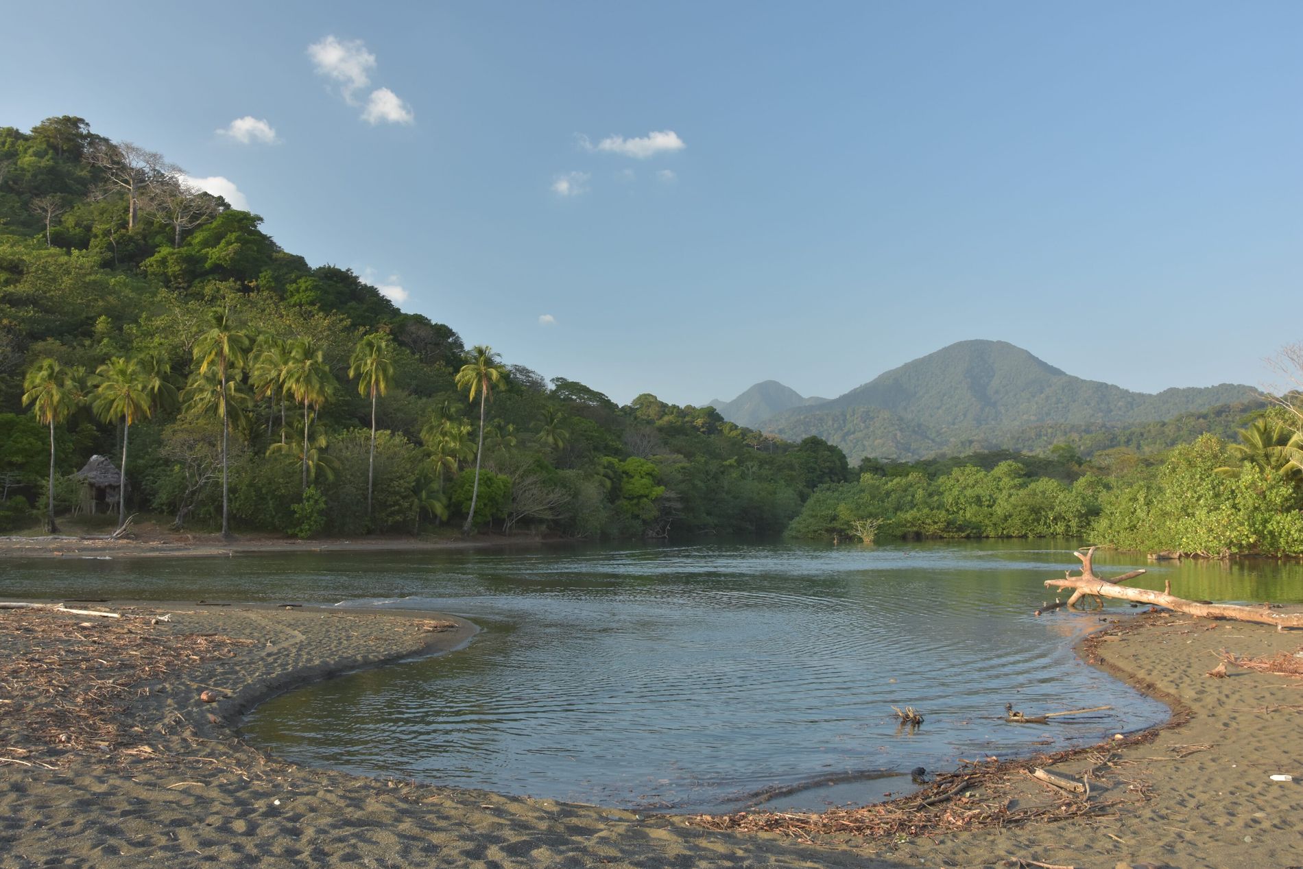 Darién 1 Darién: Guía Completa de Aventura y Naturaleza en Panamá